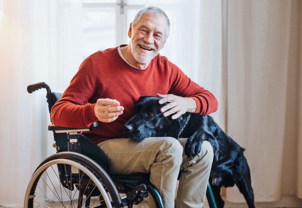 A disabled senior man in wheelchair indoors playing with a pet dog at home with Chronic Special Needs Plan